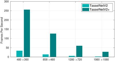 TasselNetV2+: A Fast Implementation for High-Throughput Plant Counting From High-Resolution RGB Imagery